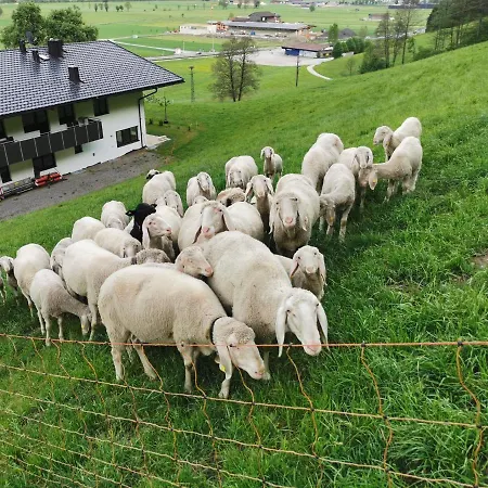 Aberghof