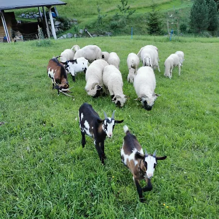 Aberghof Appartamento