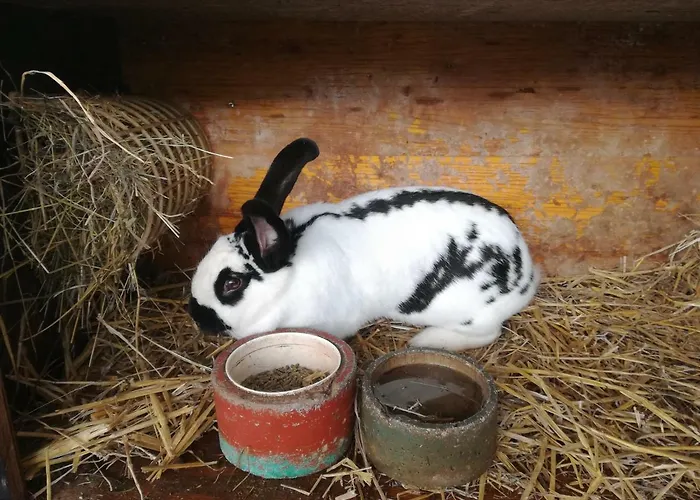 Aberghof Lejlighed *