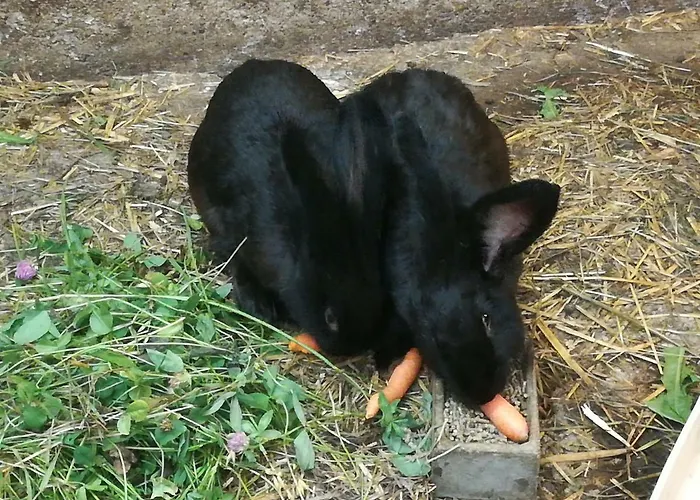 Lejlighed Aberghof *