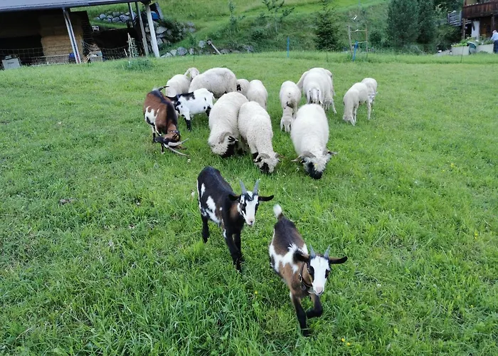 Aberghof アパート